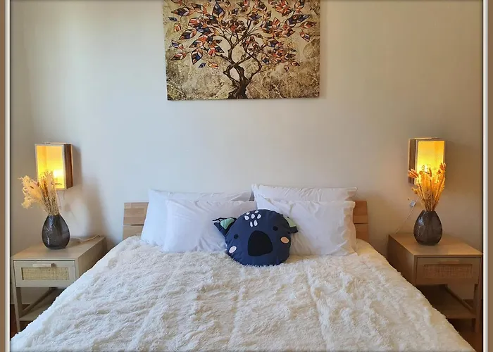 Maison Du Bonheur L Art De Vivre A La Francaise Logement Entier Avec Parking